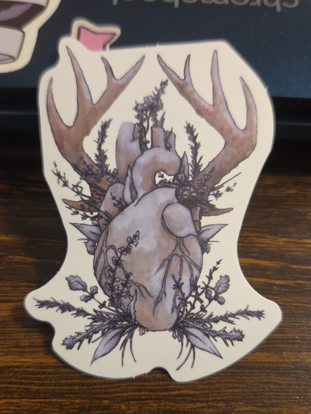 Neutral Botanical Heart with Antlers Wall Art Sticker